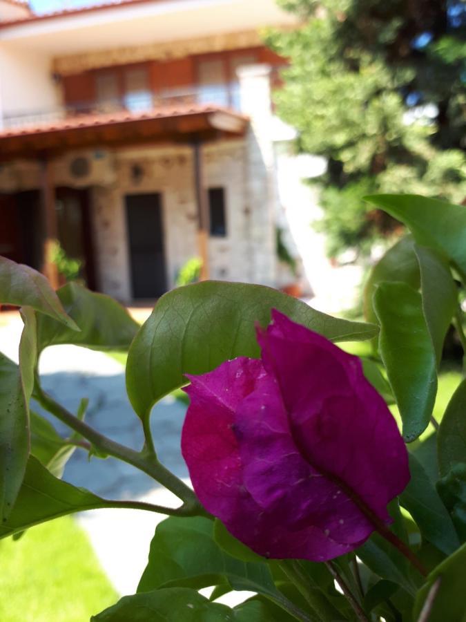 Villa George Афитос Екстериор снимка