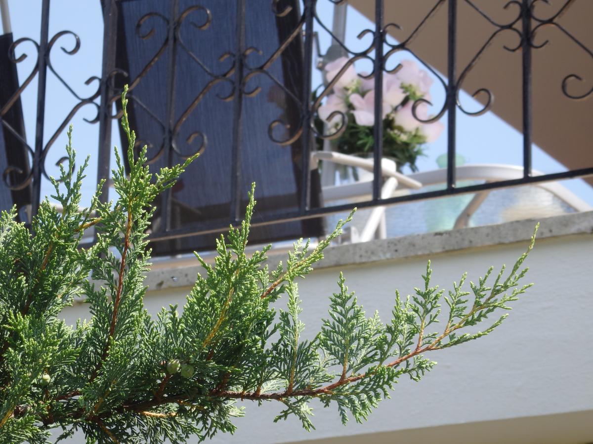 Villa George Афитос Екстериор снимка